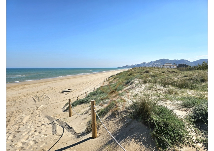 Sad pomarańczowy 350m od plaży w Cullera, Walencja